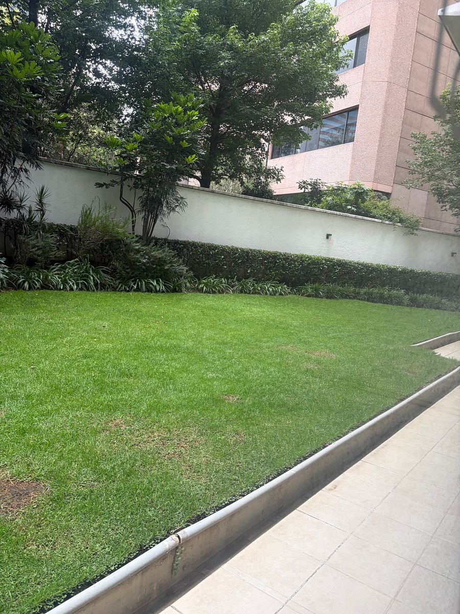 Departamento en Reforma Social, Miguel Hidalgo, foto 9 de 13