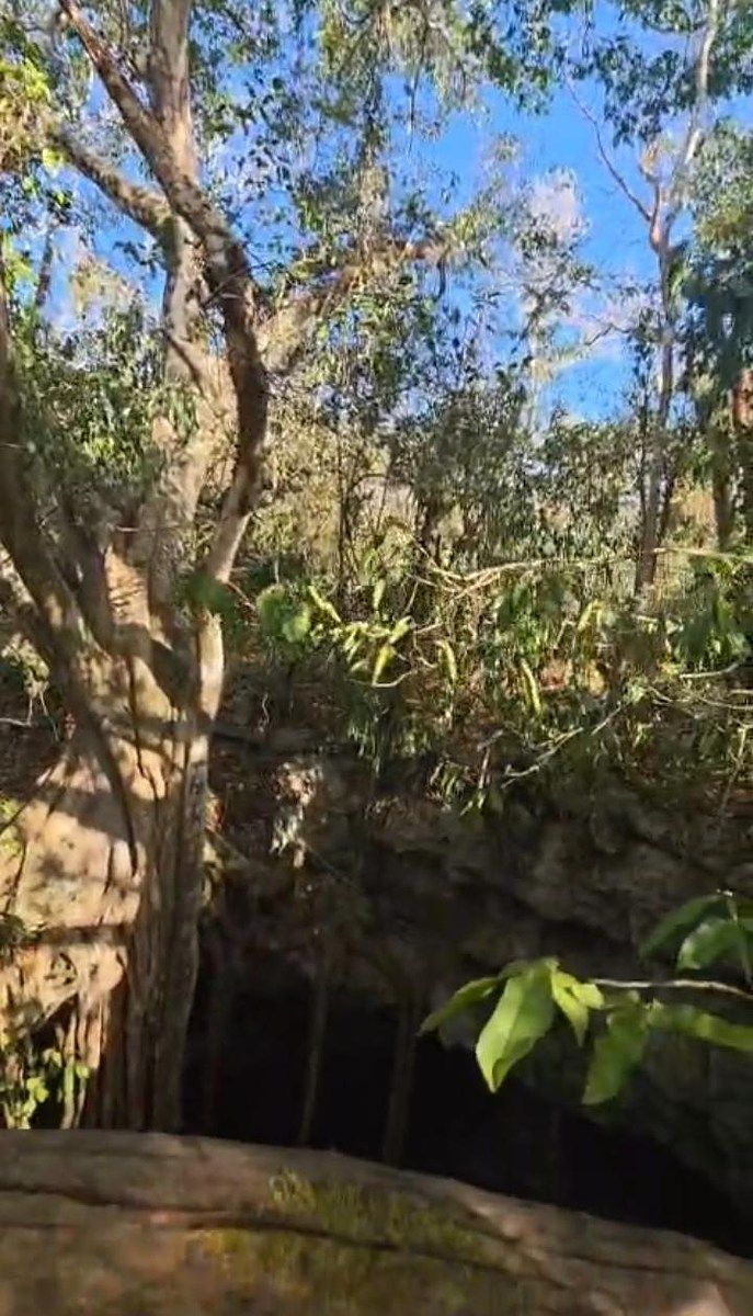 Lot in Benito Juárez García, Chemax, photo 6 of 6