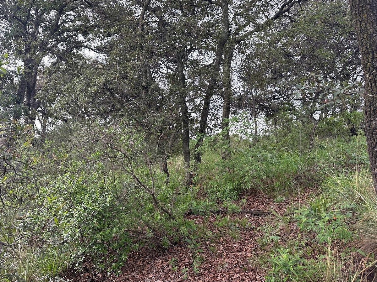Terreno à Venda Rancho San Juan, Zona Esmeralda, Atizapán de Zaragoza, Estado do México., foto 1 de 7