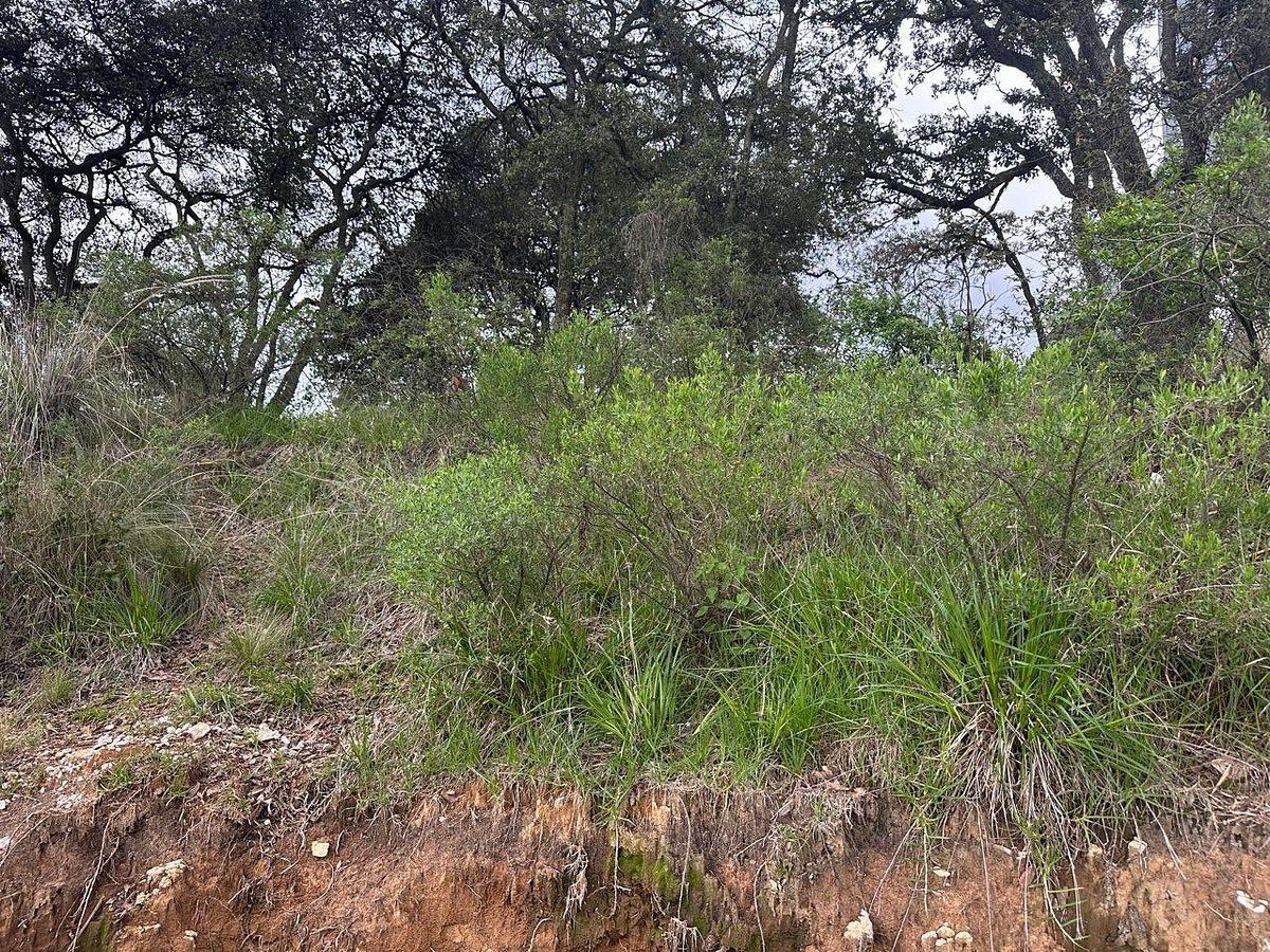 Lote em Rancho San Juan, Atizapán de Zaragoza, foto 5 de 7