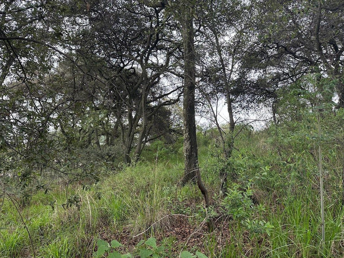 Lote em Rancho San Juan, Atizapán de Zaragoza, foto 6 de 7