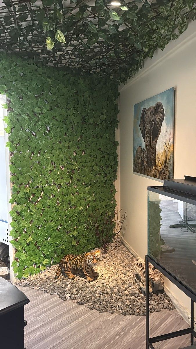 Sala Comercial em Tabacalera, Cuauhtémoc, foto 16 de 21