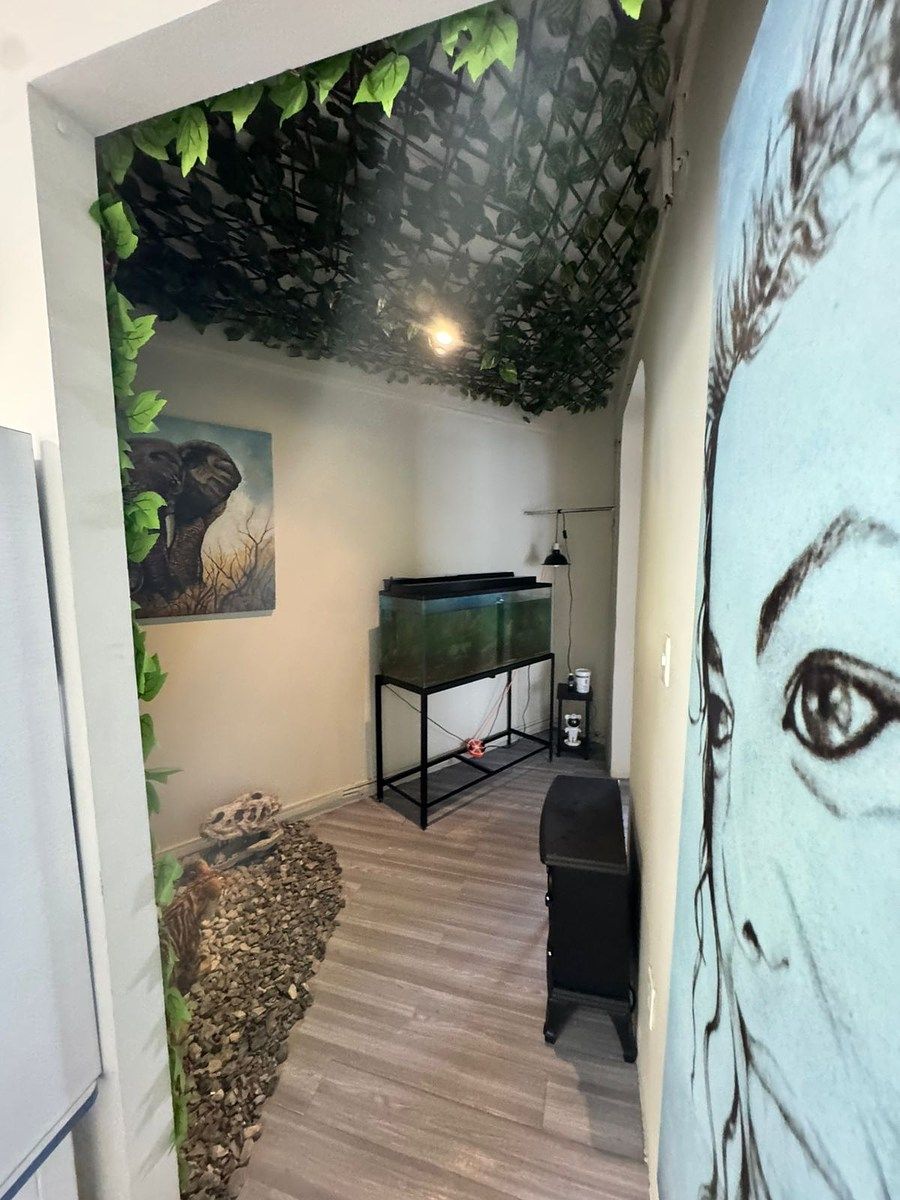 Sala Comercial em Tabacalera, Cuauhtémoc, foto 20 de 21