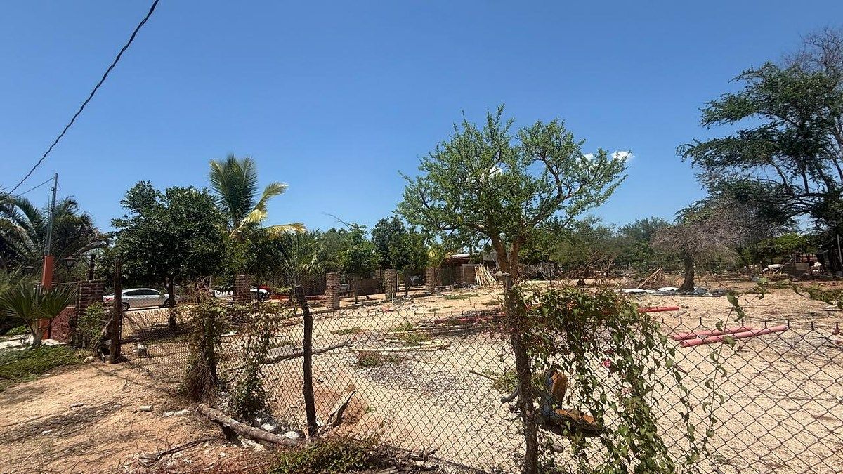 TERRENO SAN PEDRO, foto 1 de 6