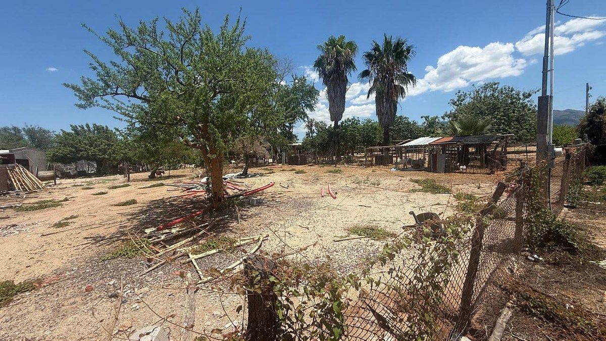 Terreno en San Pedro, La Paz, foto 3 de 6