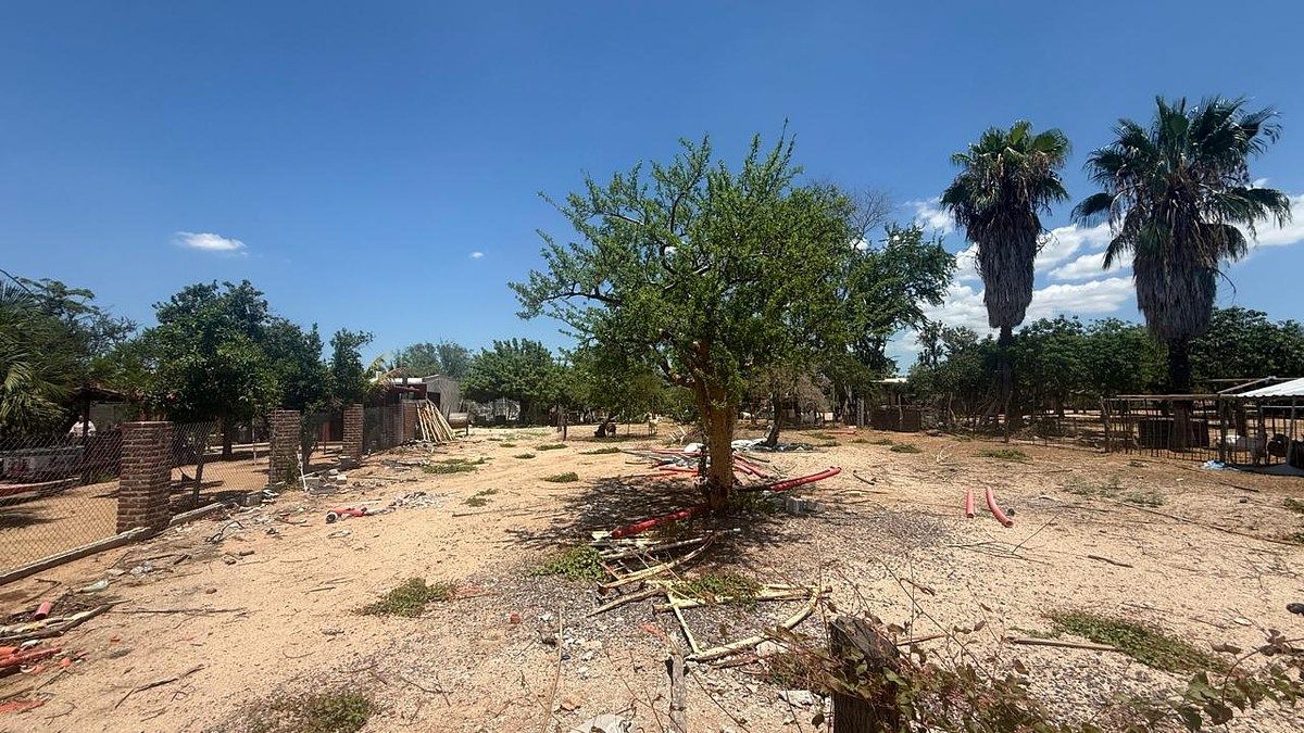 Terreno en San Pedro, La Paz, foto 6 de 6