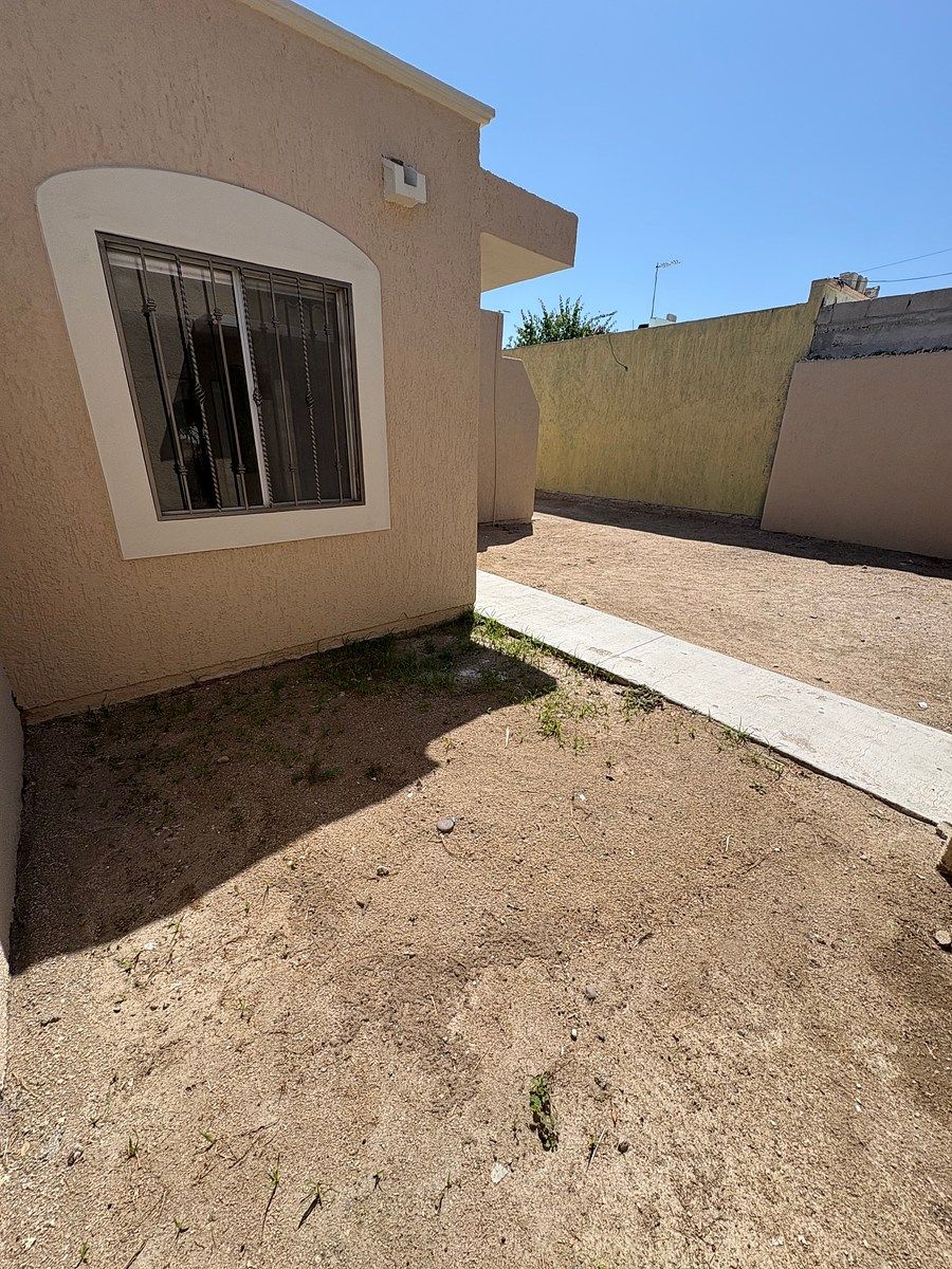 Patio, photo 16 of 19
