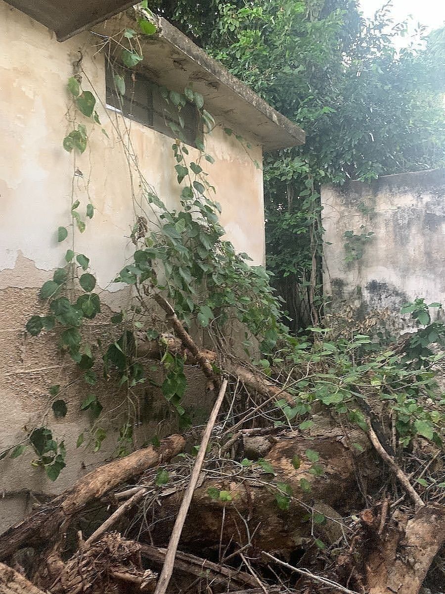 Casa en Mérida Centro, Mérida, foto 8 de 10