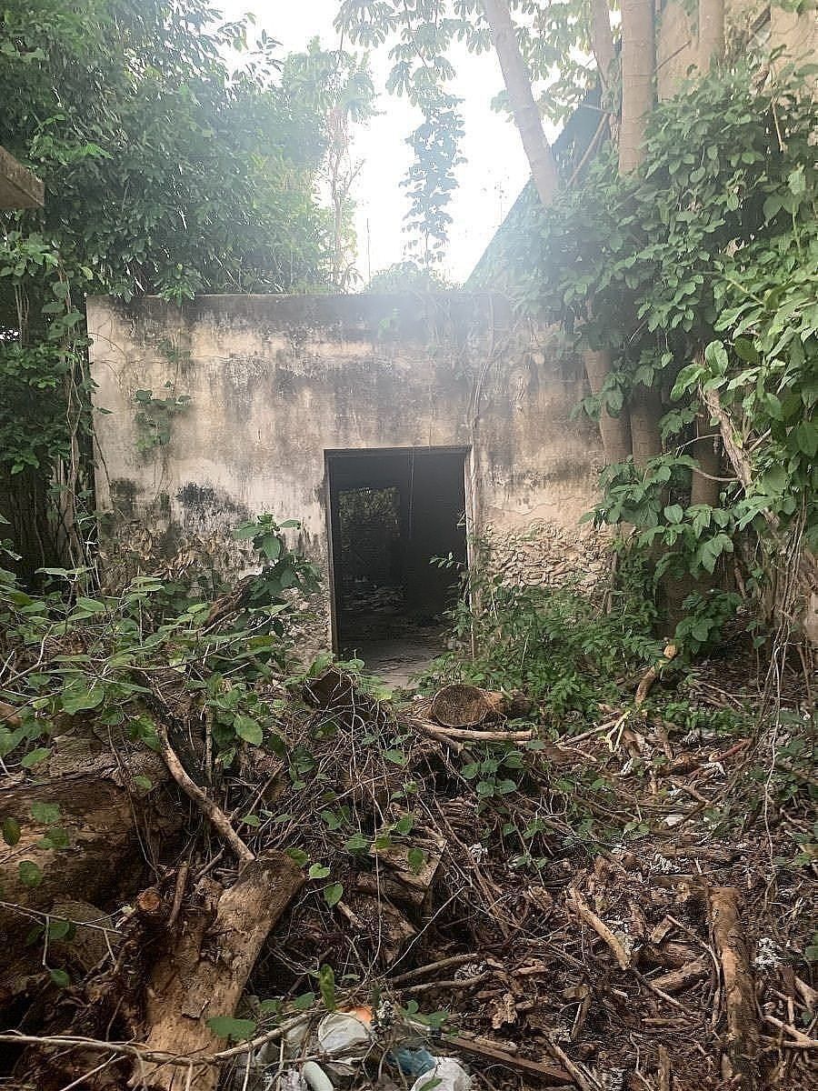 Casa en Mérida Centro, Mérida, foto 9 de 10