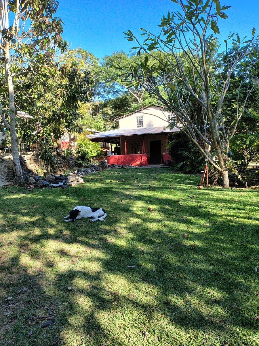 VENTA DE RANCHO CAFETALERO EN SAN MIGUEL DEL PUERTO, POCHUTLA, OAXACA., foto 1 de 26