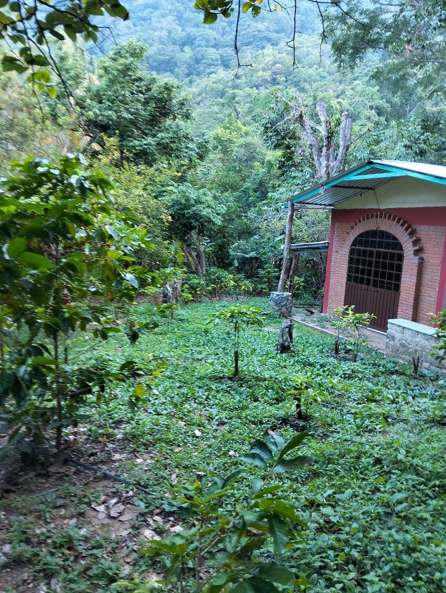 Rancho en San Miguel Del Puerto, San Miguel del Puerto, foto 4 de 26