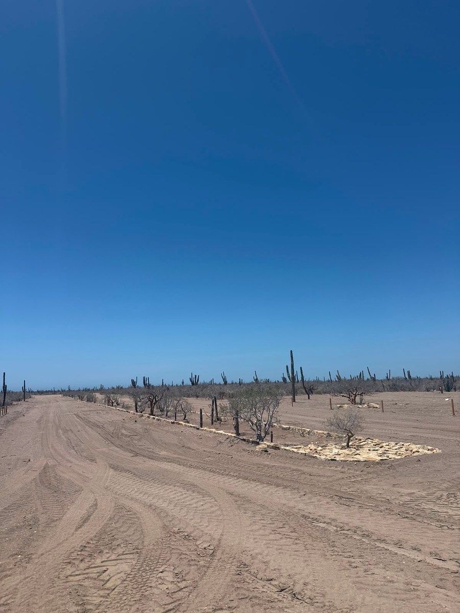 Terreno en NCPE Conquista Agraria, La Paz, foto 6 de 8