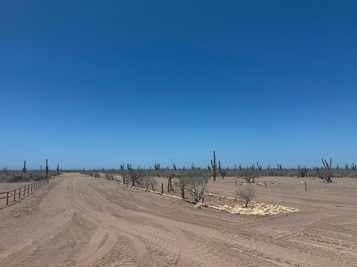 Terreno en NCPE Conquista Agraria, La Paz, foto 7 de 8
