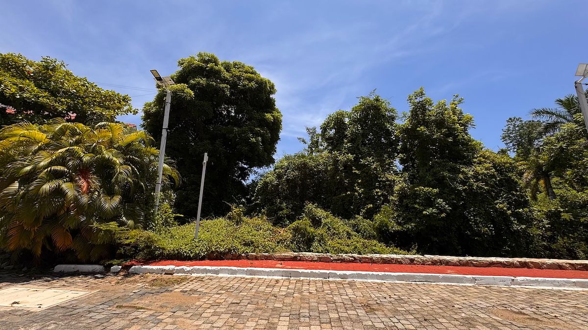 Terreno en Pichilingue, Acapulco de Juárez, foto 4 de 11
