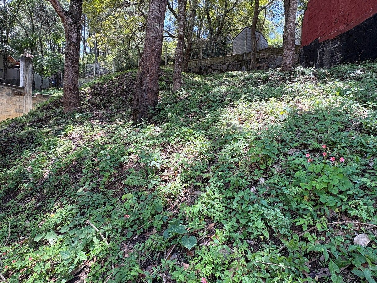 Terreno en Otumba, Valle de Bravo, foto 3 de 9
