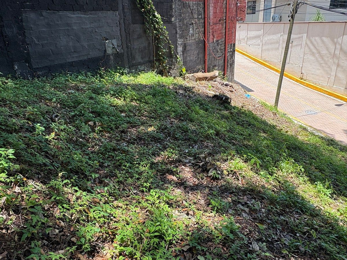 Terreno en Otumba, Valle de Bravo, foto 9 de 9