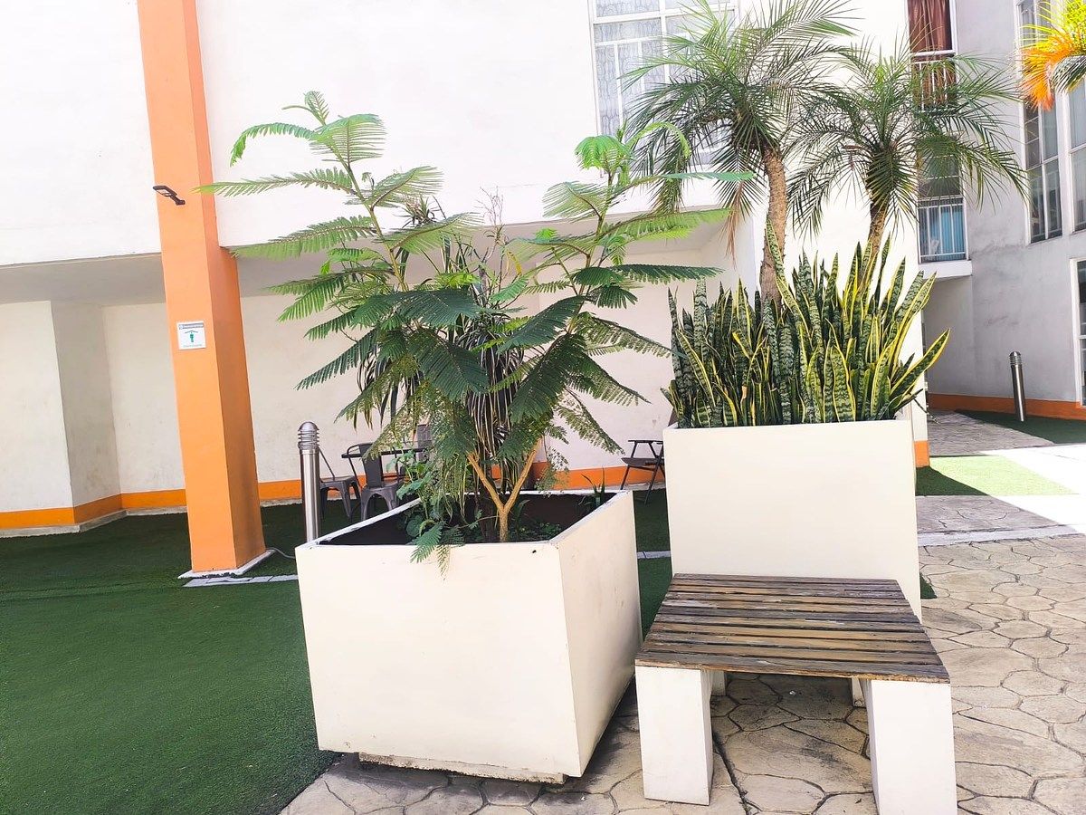 Apartment in Popular Rastro, Venustiano Carranza, photo 13 of 14