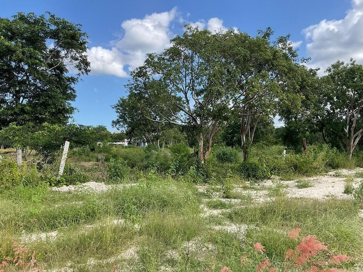 Lote em Temozón Norte, Mérida, foto 9 de 18