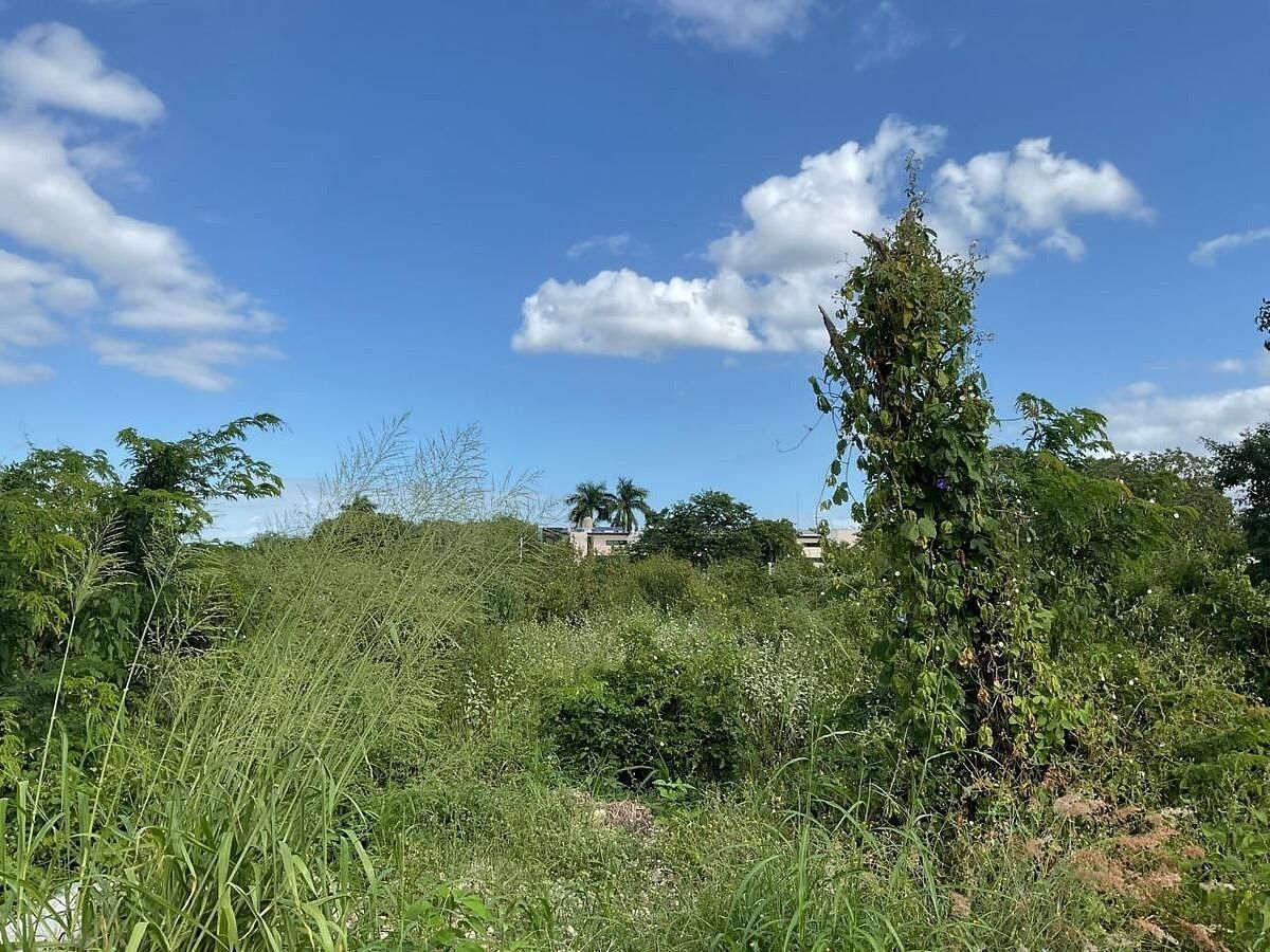 Lote em Temozón Norte, Mérida, foto 13 de 18