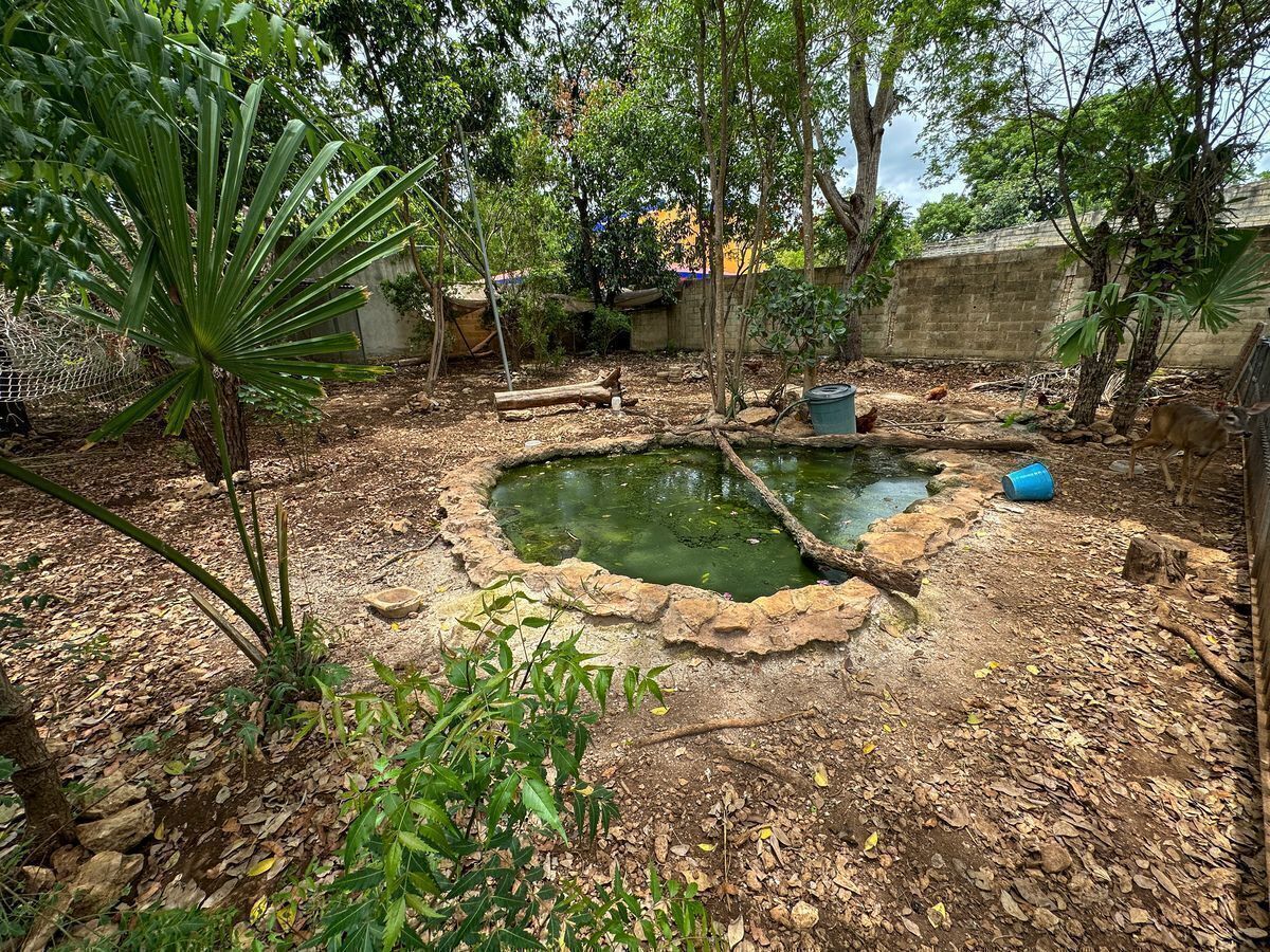 Casa en Cholul, Mérida, foto 19 de 47