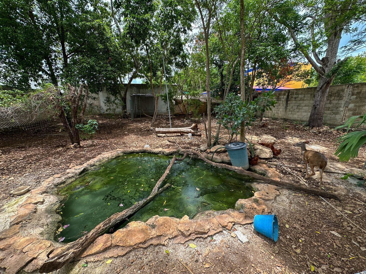 Casa en Cholul, Mérida, foto 20 de 47