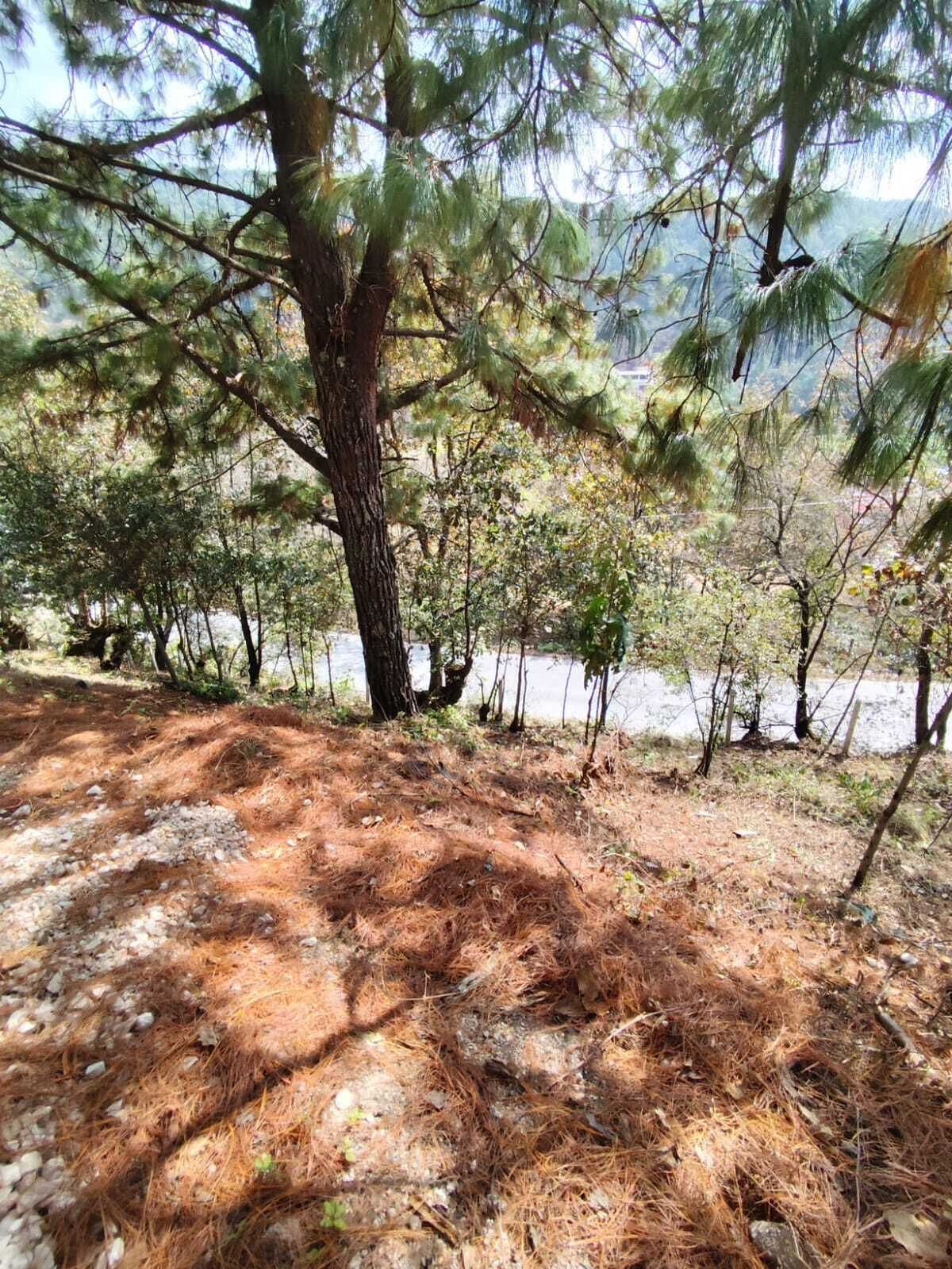 Lote em San Nicolás, San Cristóbal de Las Casas, foto 6 de 7