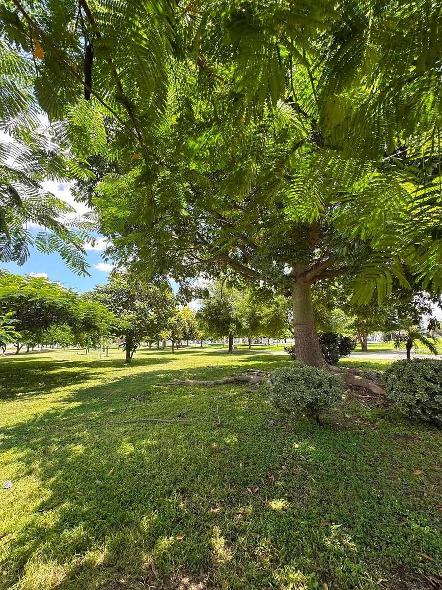Casa em Real Del Valle, Tlajomulco de Zúñiga, foto 15 de 15