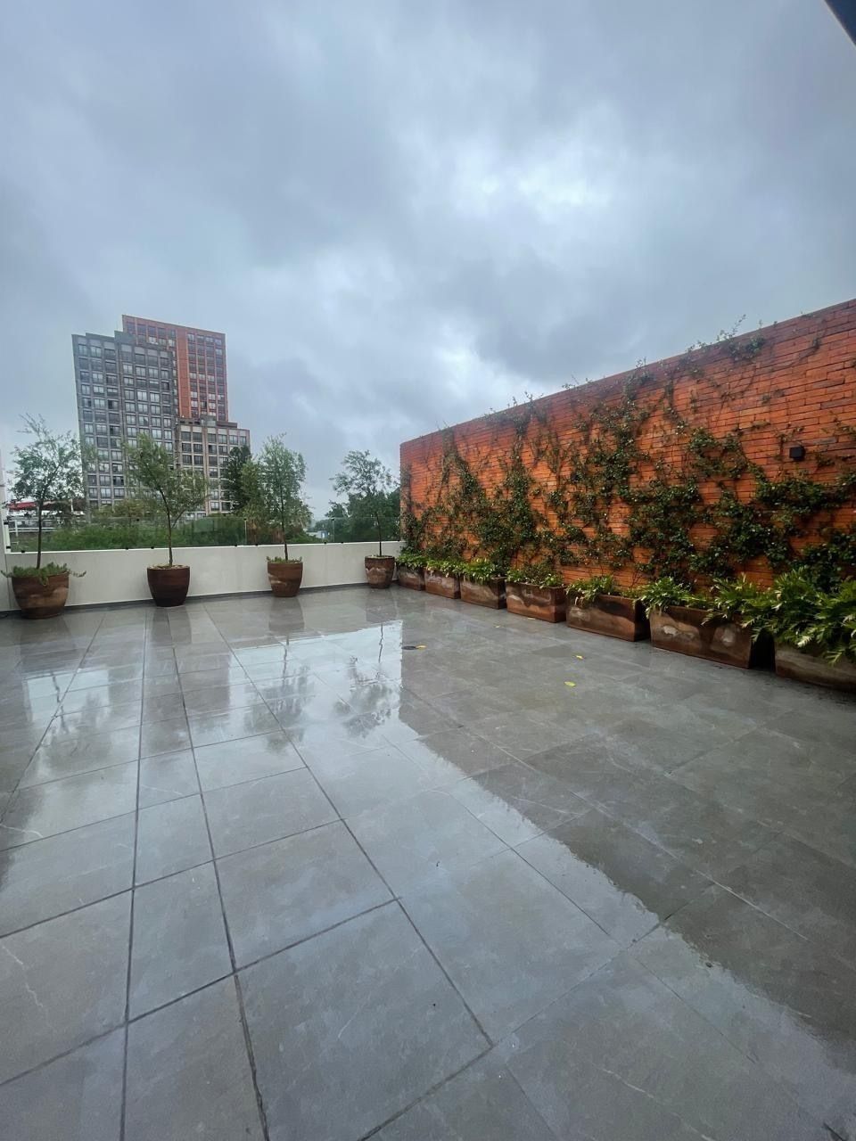 Apartment in Chapultepec Country, Guadalajara, photo 4 of 21