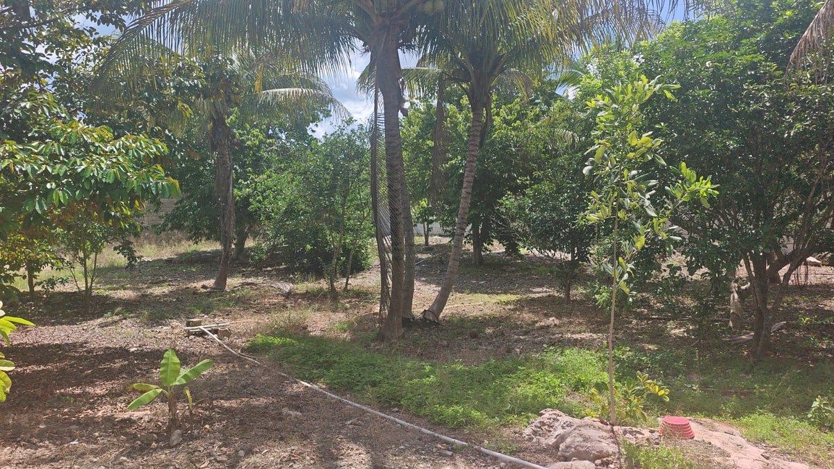Terreno en Izamal, Izamal, foto 5 de 6