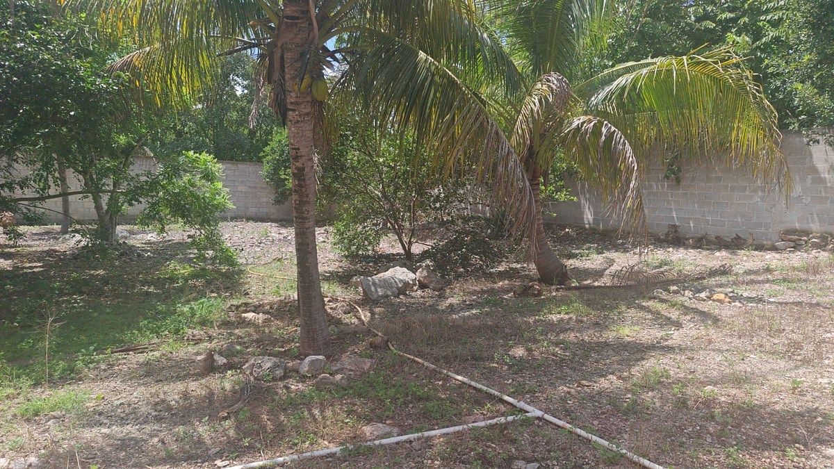 Terreno en Izamal, Izamal, foto 6 de 6