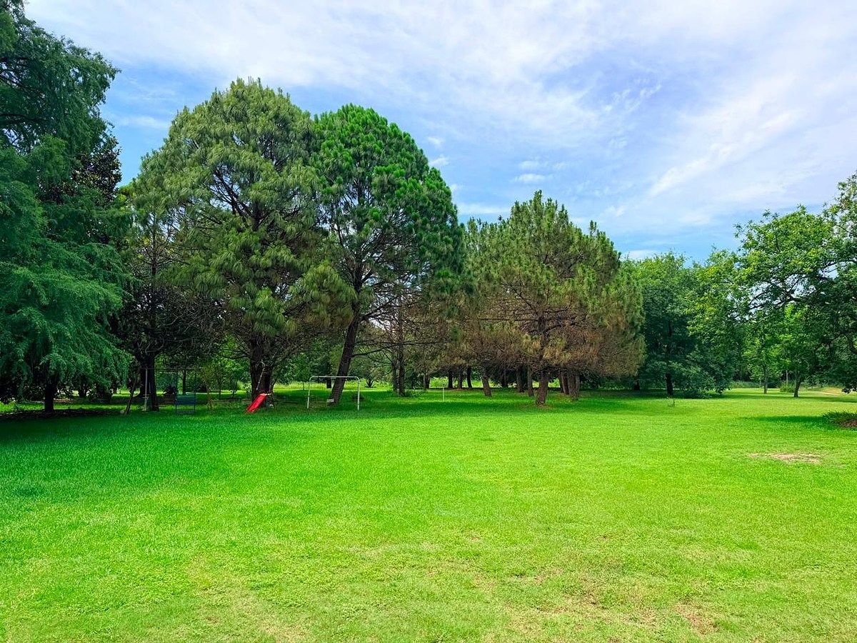 Terreno en San Roque, Juárez, foto 11 de 20