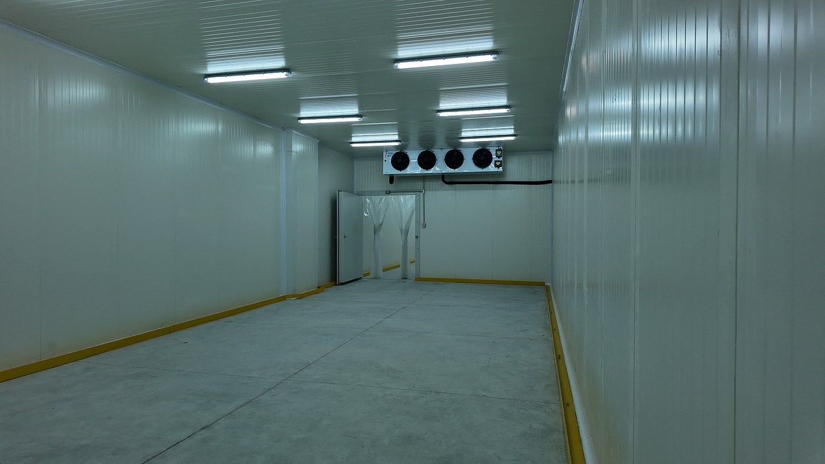 Industrial Building in Francisco Villa Oriente, Kanasín, photo 17 of 20