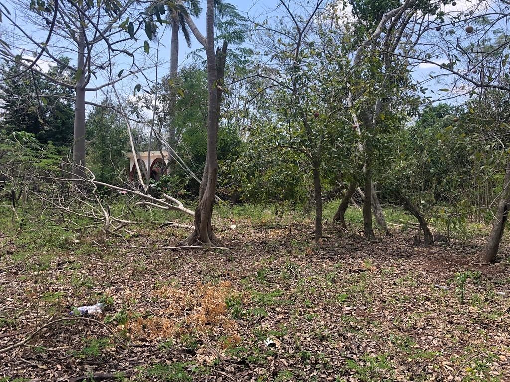 Terreno en Tizimin Centro, Tizimín, foto 2 de 4