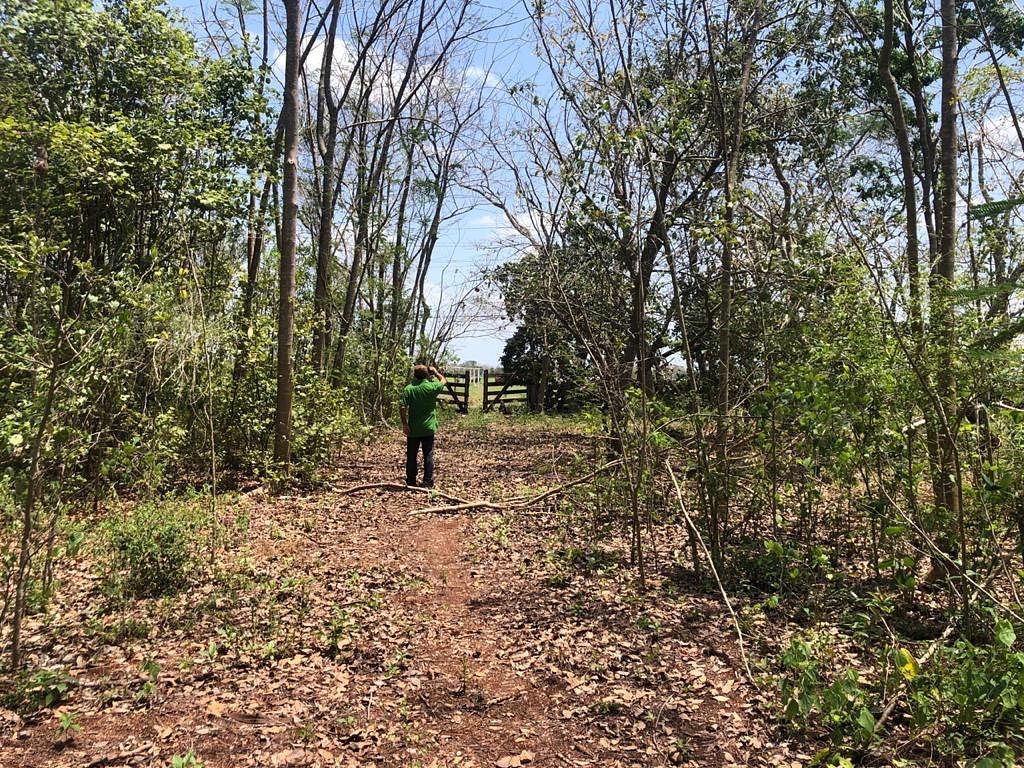 Terreno en Tizimin Centro, Tizimín, foto 3 de 4