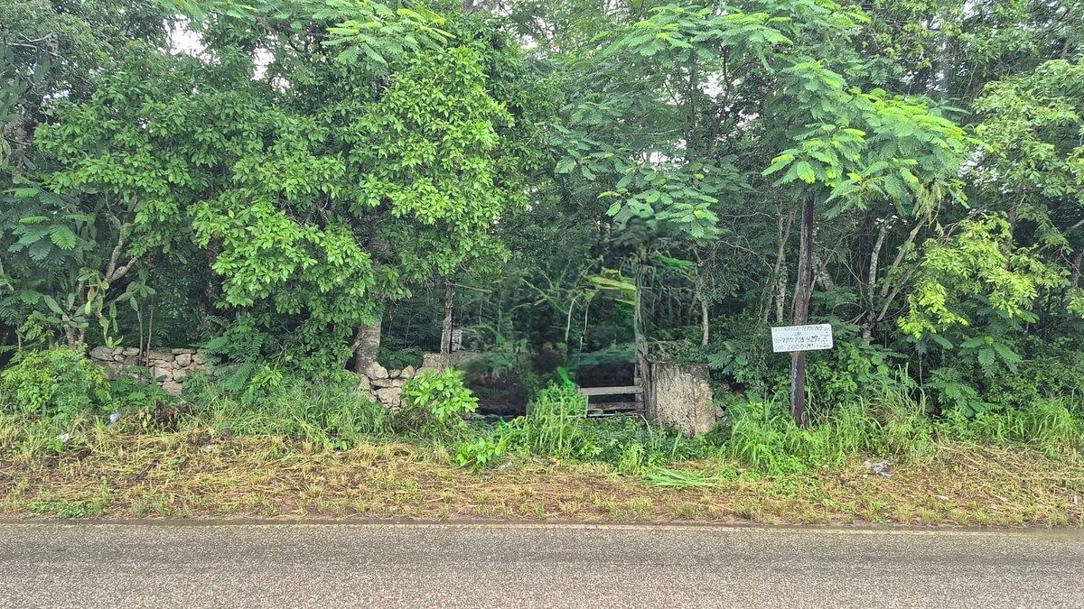🌳 SE VENDE TERRENO DE 6,000 M² – EXCELENTE UBICACIÓN EN TIZIMIN YUCATÁN, foto 1 de 4