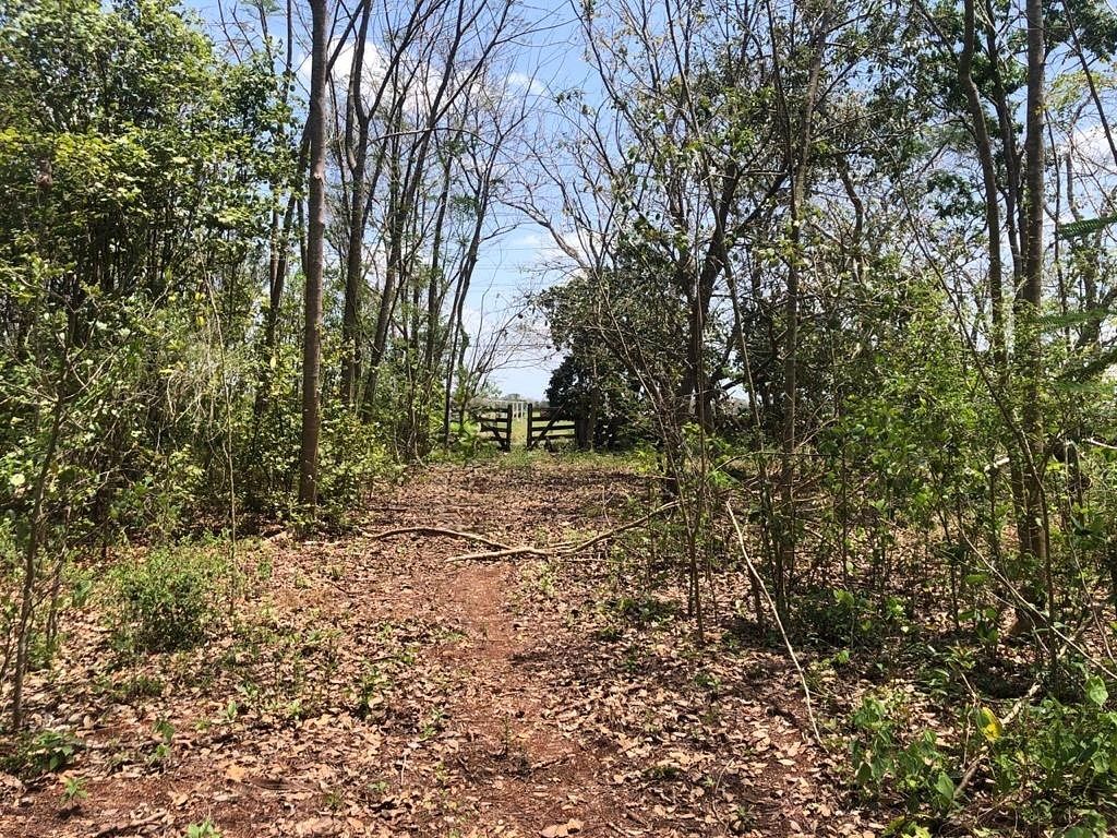Terreno en Tizimin Centro, Tizimín, foto 4 de 4