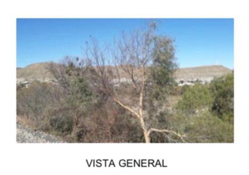Terreno en Providencia, Saltillo, foto 5 de 9