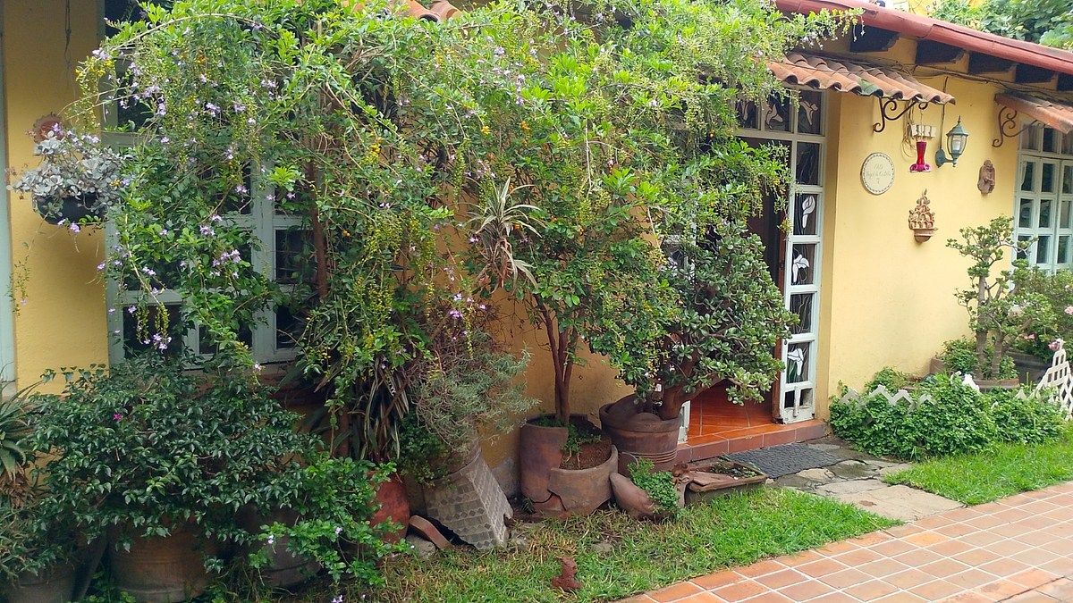 Casa em Pueblo Nuevo Alto, La Magdalena Contreras, foto 6 de 12