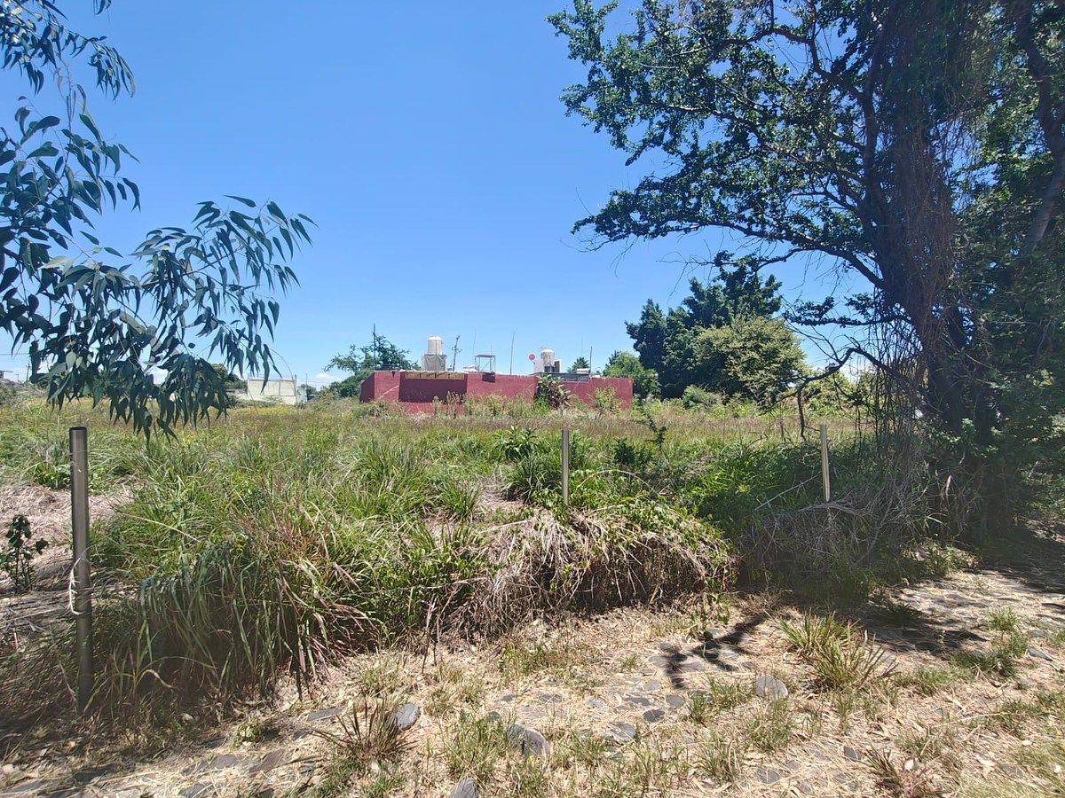 Terreno en Islas de Cuautla, Ayala, foto 4 de 10