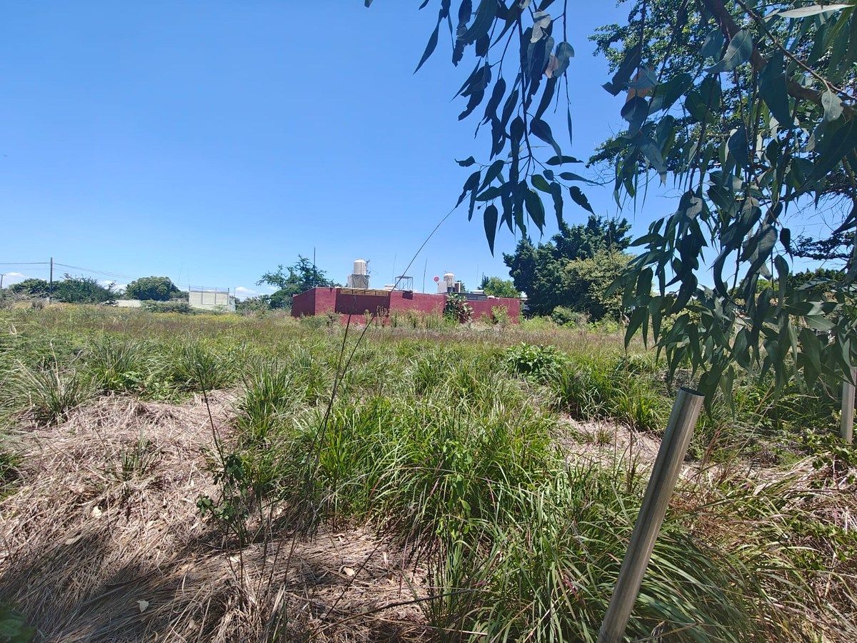 Terreno en Islas de Cuautla, Ayala, foto 3 de 10