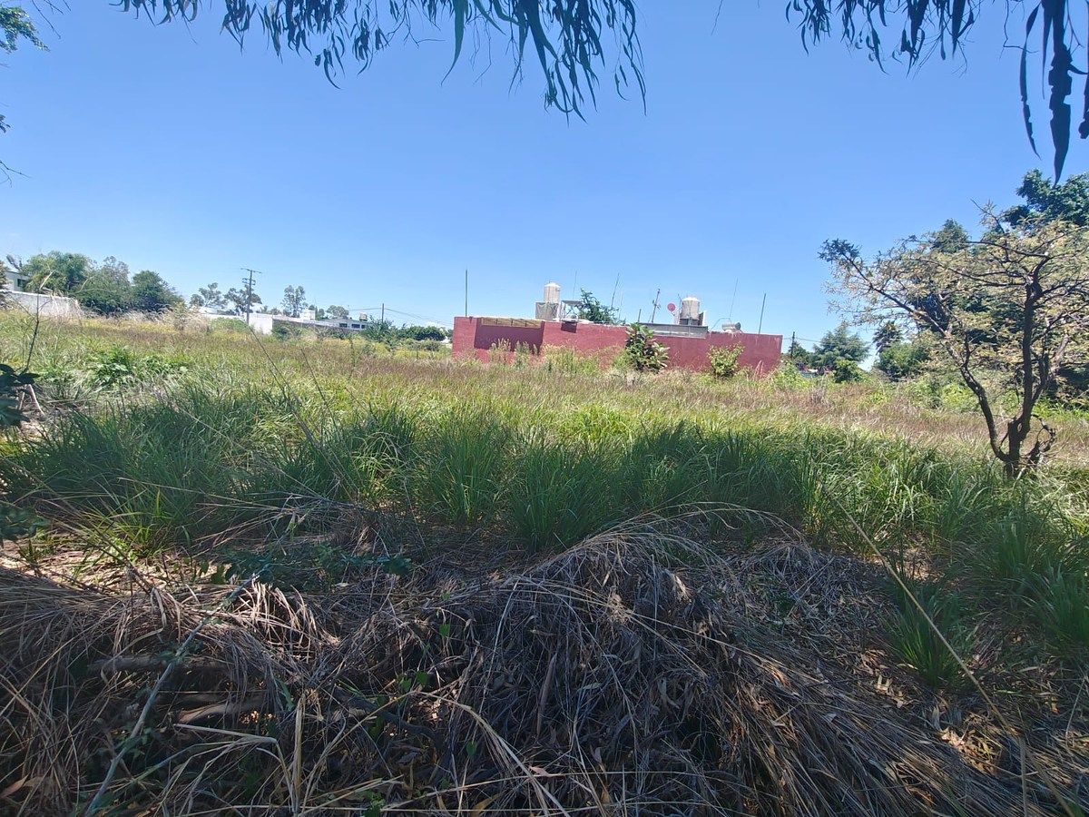 Terreno en Islas de Cuautla, Ayala, foto 2 de 10