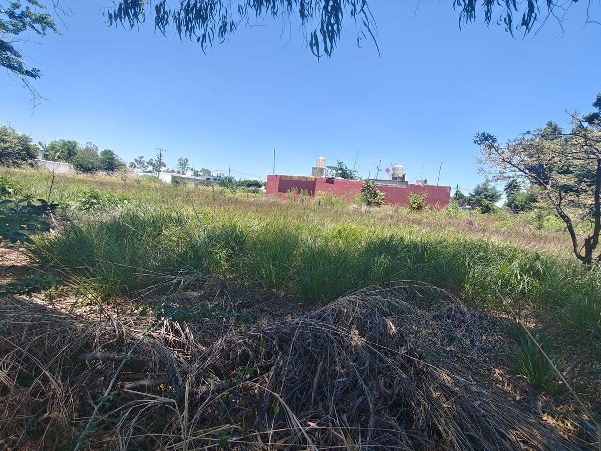 Terreno en Islas de Cuautla, Ayala, foto 7 de 10