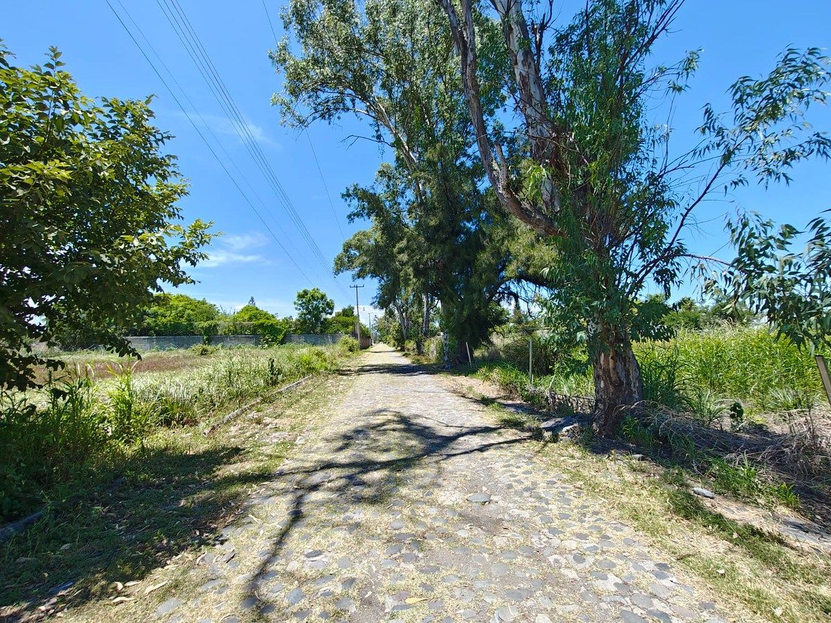 TERRENO EN VENTA EN ISLAS DE CUAUTLA, foto 1 de 10