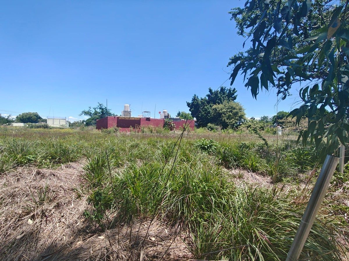 Terreno en Islas de Cuautla, Ayala, foto 10 de 10