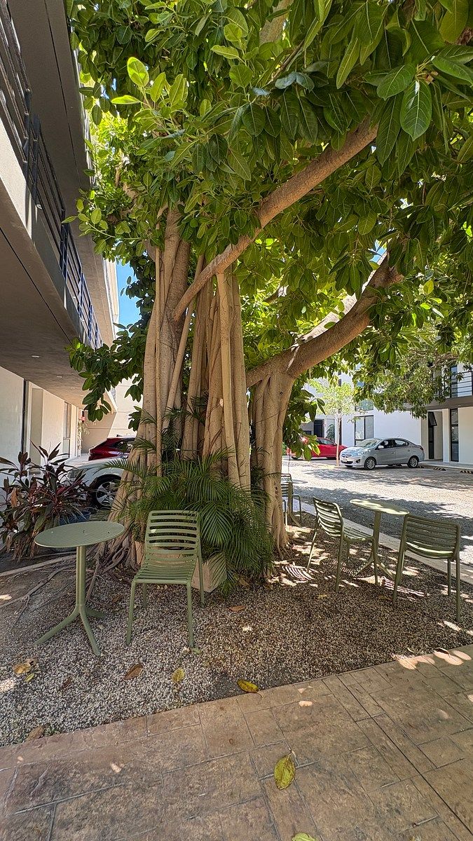 Apartamento em Montes de Ame, Mérida, foto 19 de 26