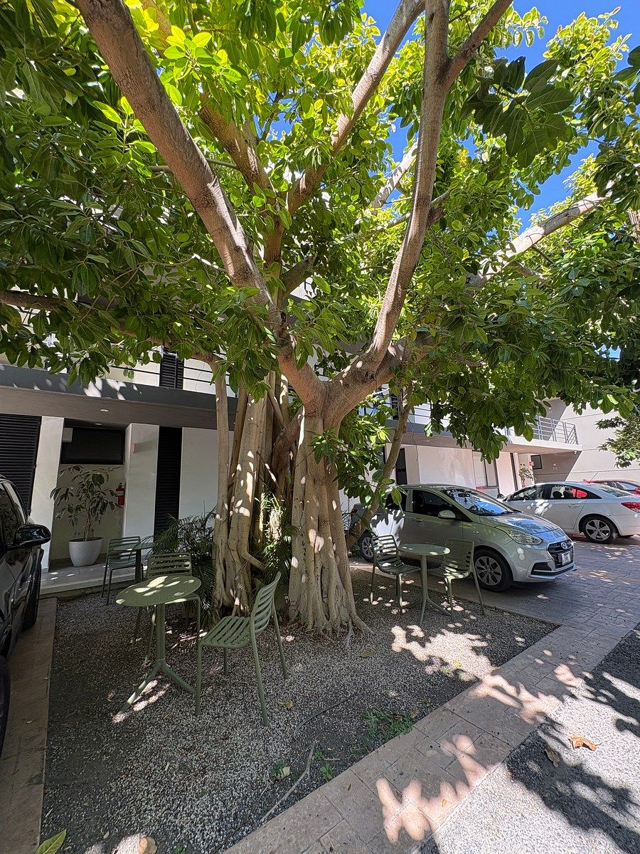 Apartamento em Montes de Ame, Mérida, foto 23 de 26