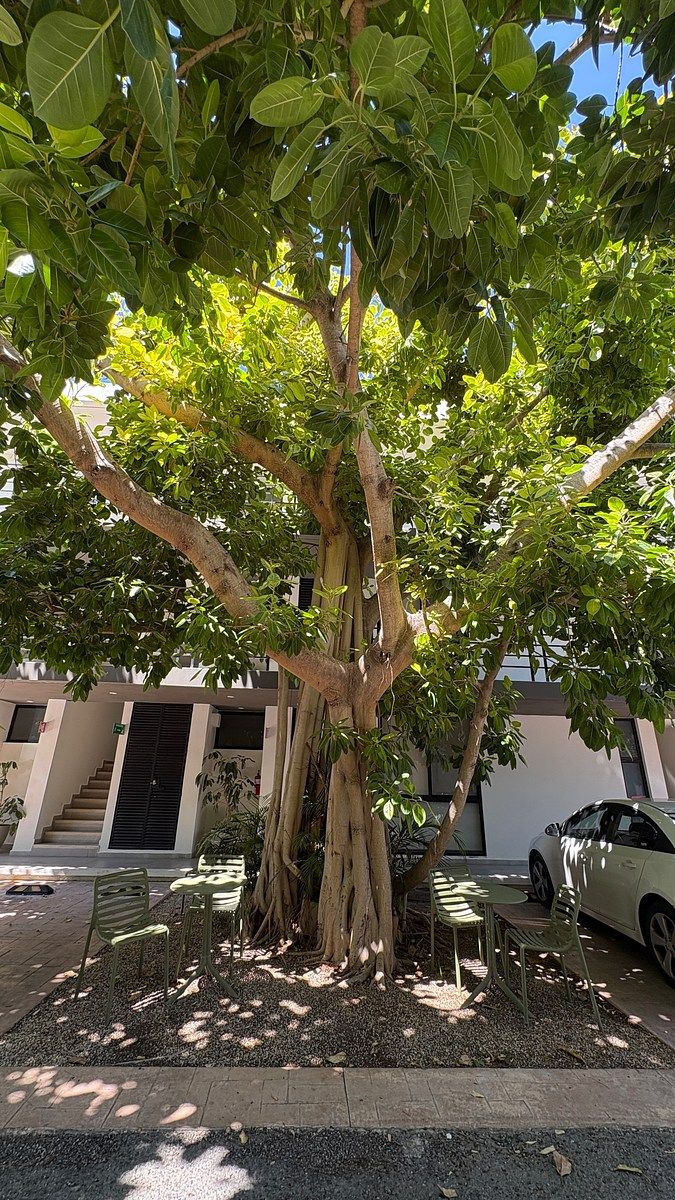 Apartamento em Montes de Ame, Mérida, foto 22 de 26
