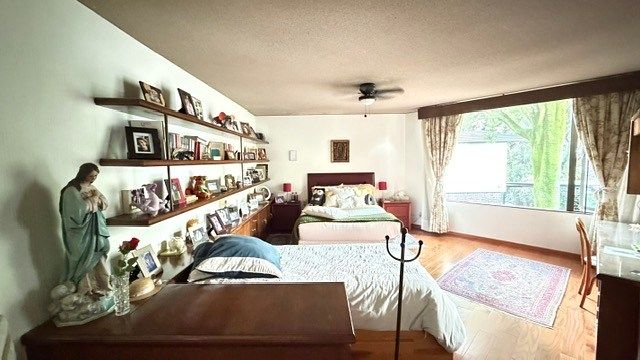 Casa en Bosque de las Lomas, Miguel Hidalgo, foto 15 de 30