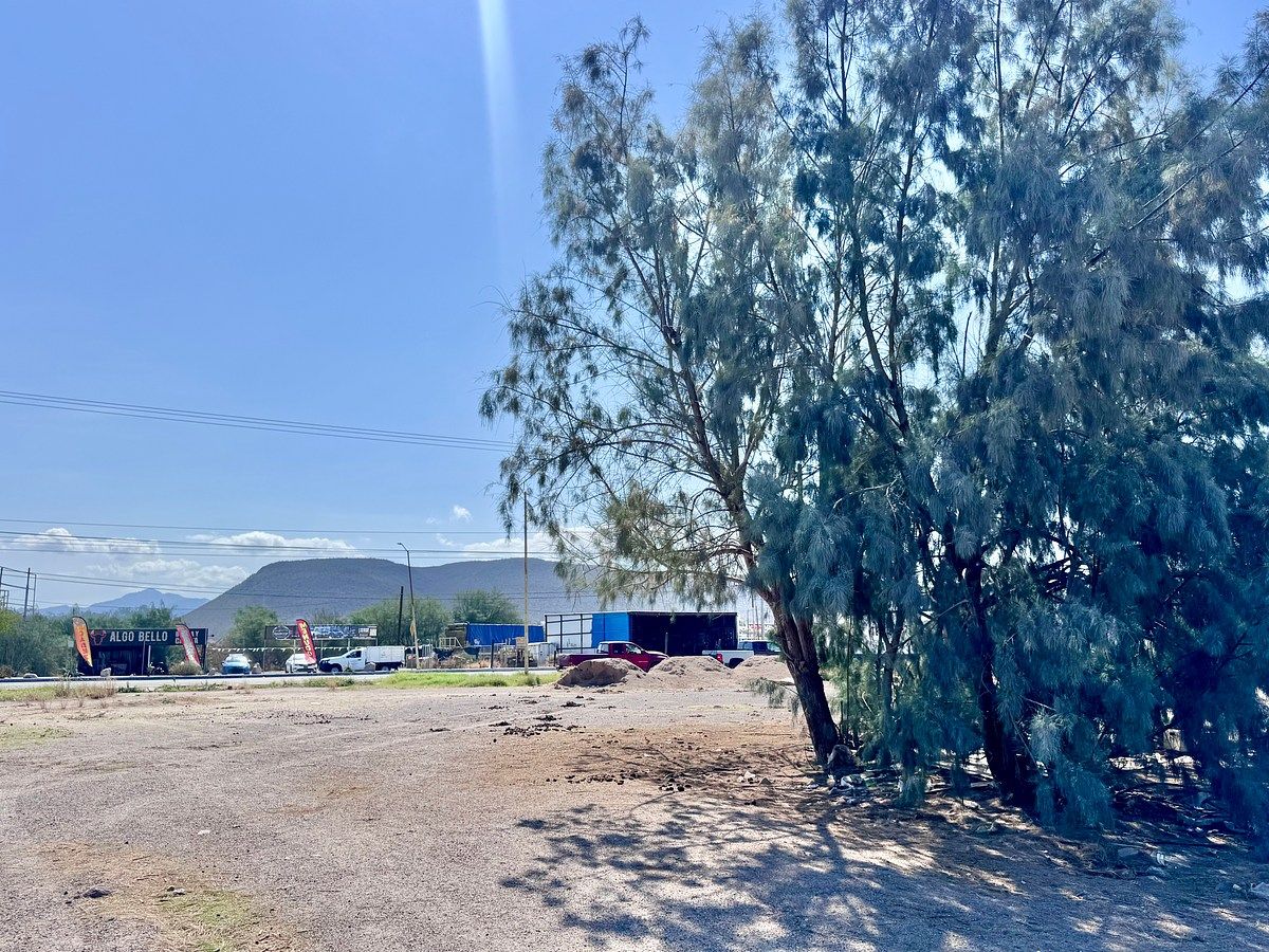 Terreno en Chametla, La Paz, foto 11 de 26