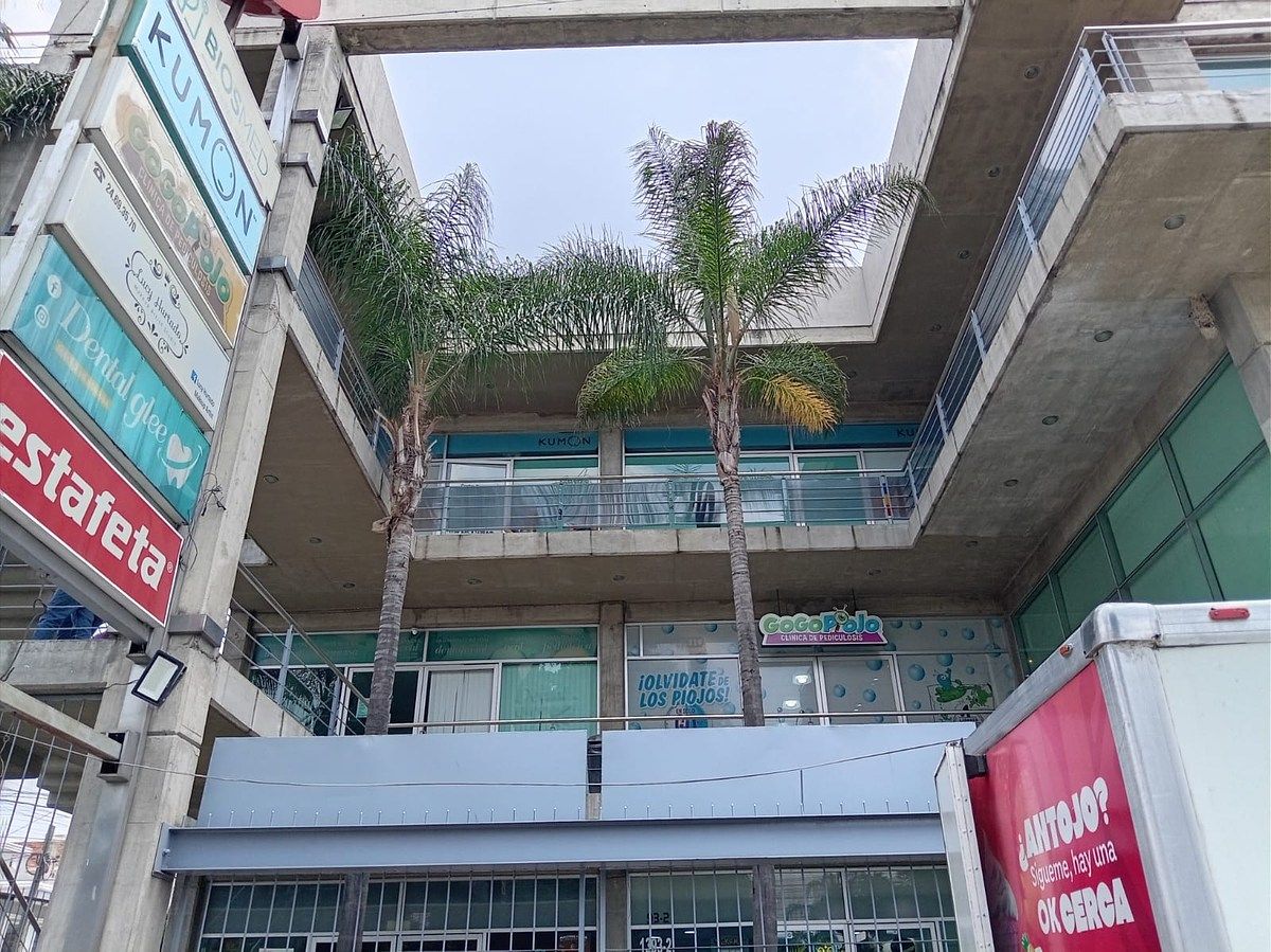 Shopping Mall Space in Jardines de los Historiadores, Guadalajara, photo 2 of 18